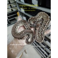 全HOLD 了,Pewter het clown male 1k female 2k less 50% $500,$1000