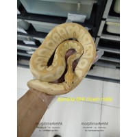 23 banana ghi clown male 5900 less 35%  $3835