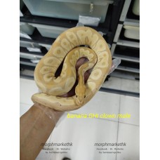 23 banana ghi clown male 5900 less 35%  $3835