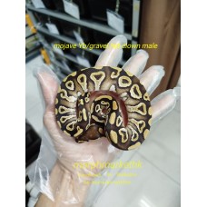 Mojave yb/gravel het clown male $1200 less 50% $600