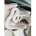 24 Black pastel pied het axa x axa pied  *(VPI)