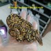 23 Bongo pastel het ghost female 2200