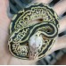 24 bongo clown x leopard spotnose super pastel het clown