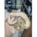 24 Sn gravel cln x Enchi butter blade Cln 