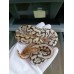 24 spotnose gravel clown x hgw gravel het clown